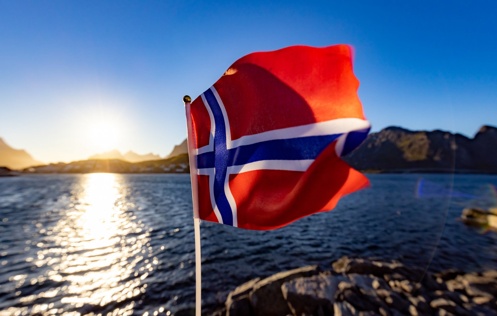 Norwegian Bert Module